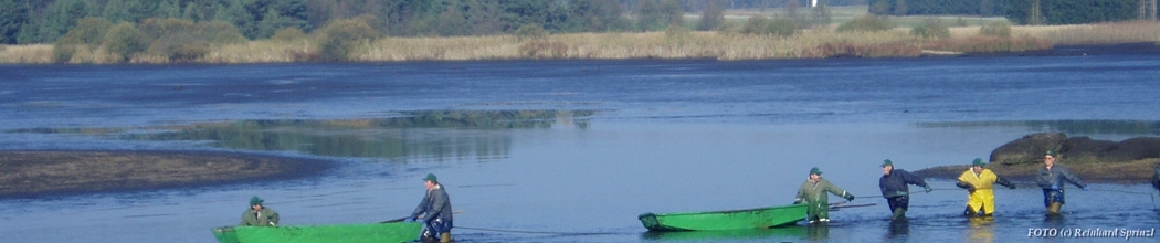 Fischerlebnis Waldviertel